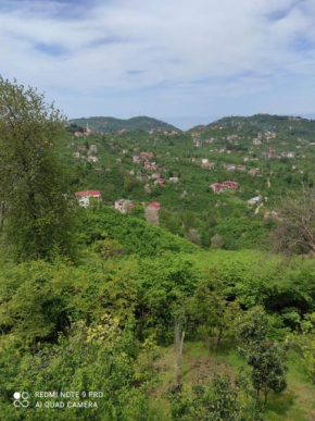 Doğal Köy Evi